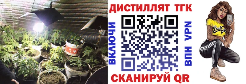 ТГК Wax  Купить где  Ак-Довурак 